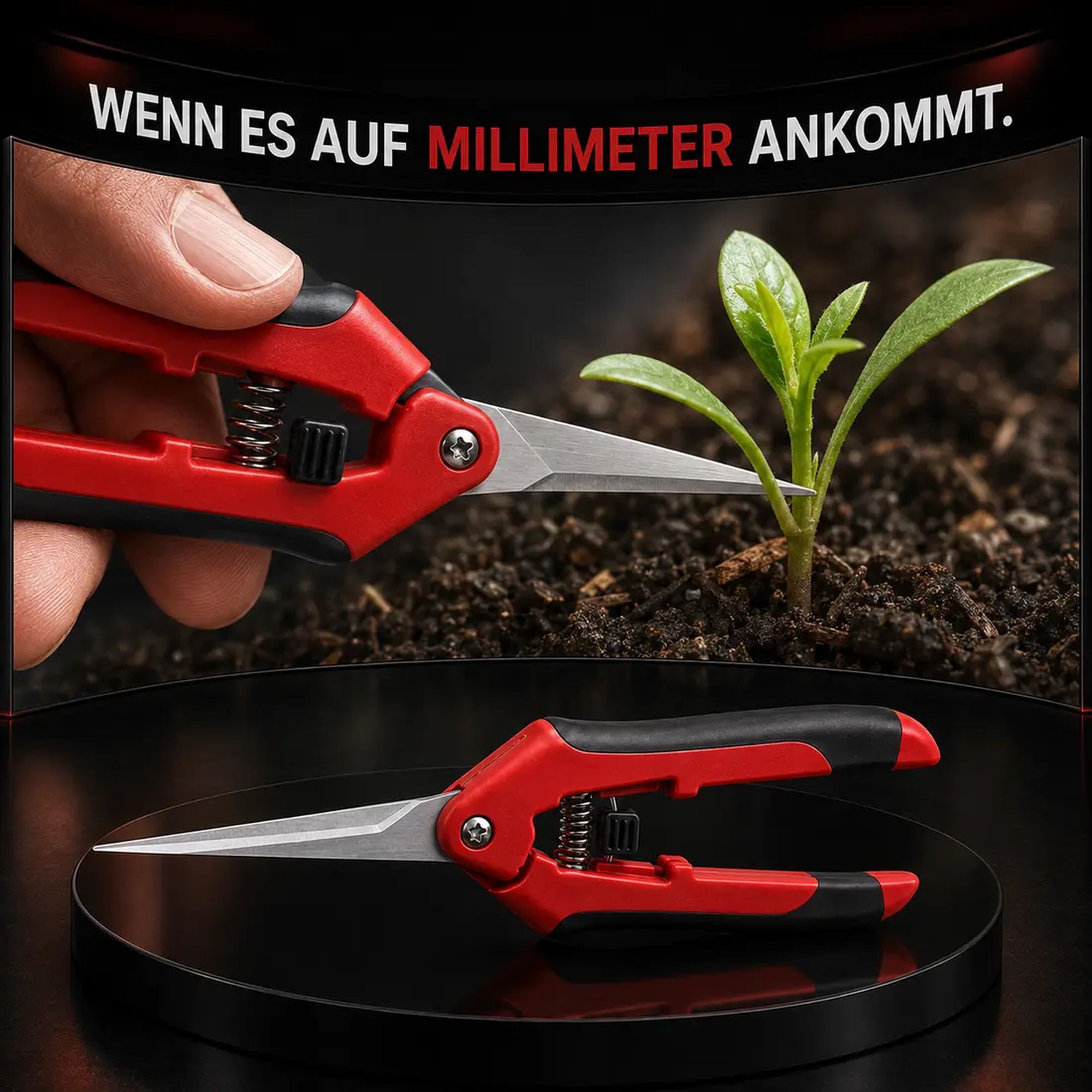 Schwertkrone Präzisionsschere 20 cm für Kräuter, Bonsai und Pflanzen – Bild 3